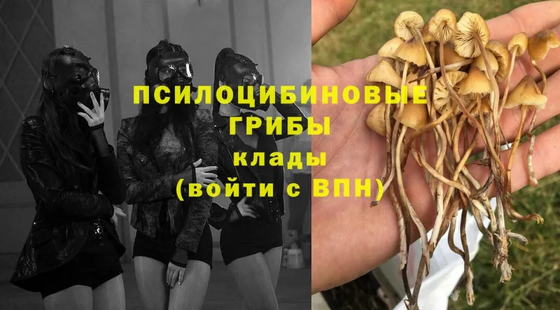 закладка  Мышкин  omg ссылки  Псилоцибиновые грибы мухоморы 